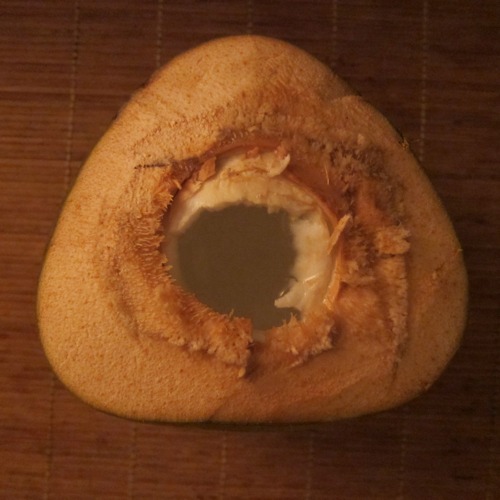 noix de coco